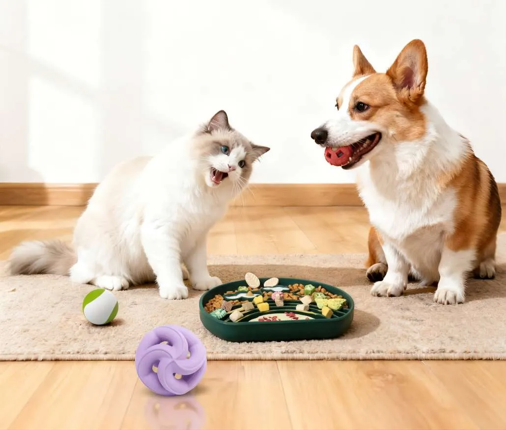 Innovative Silicone Pet Products for Modern Pet Owners