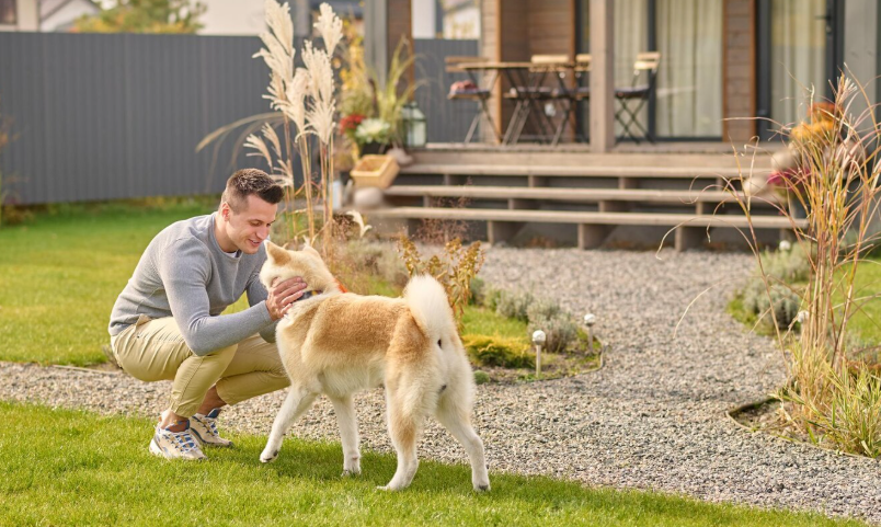 Pet Friendly Garden Ideas With Artificial Grass