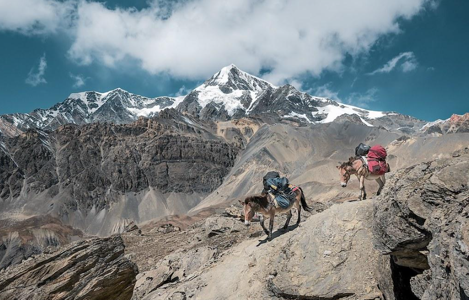 Mount Everest Expedition Guide: Complete Climbing Route Cost and Preparation