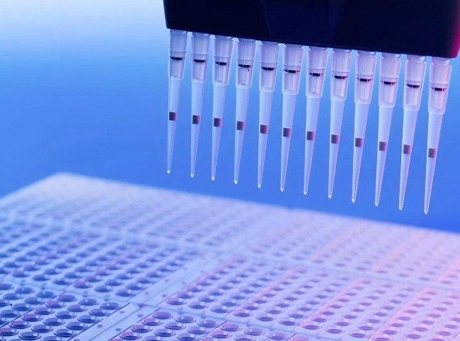 How Do Physicochemical Traits Predict Permeability?