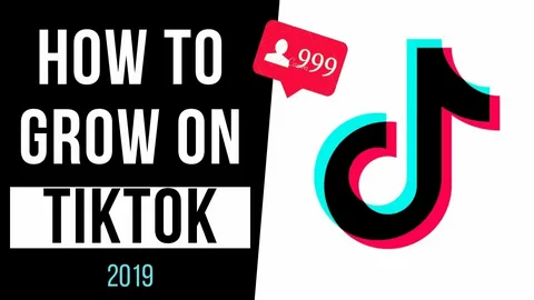 TikTok SMM Panels