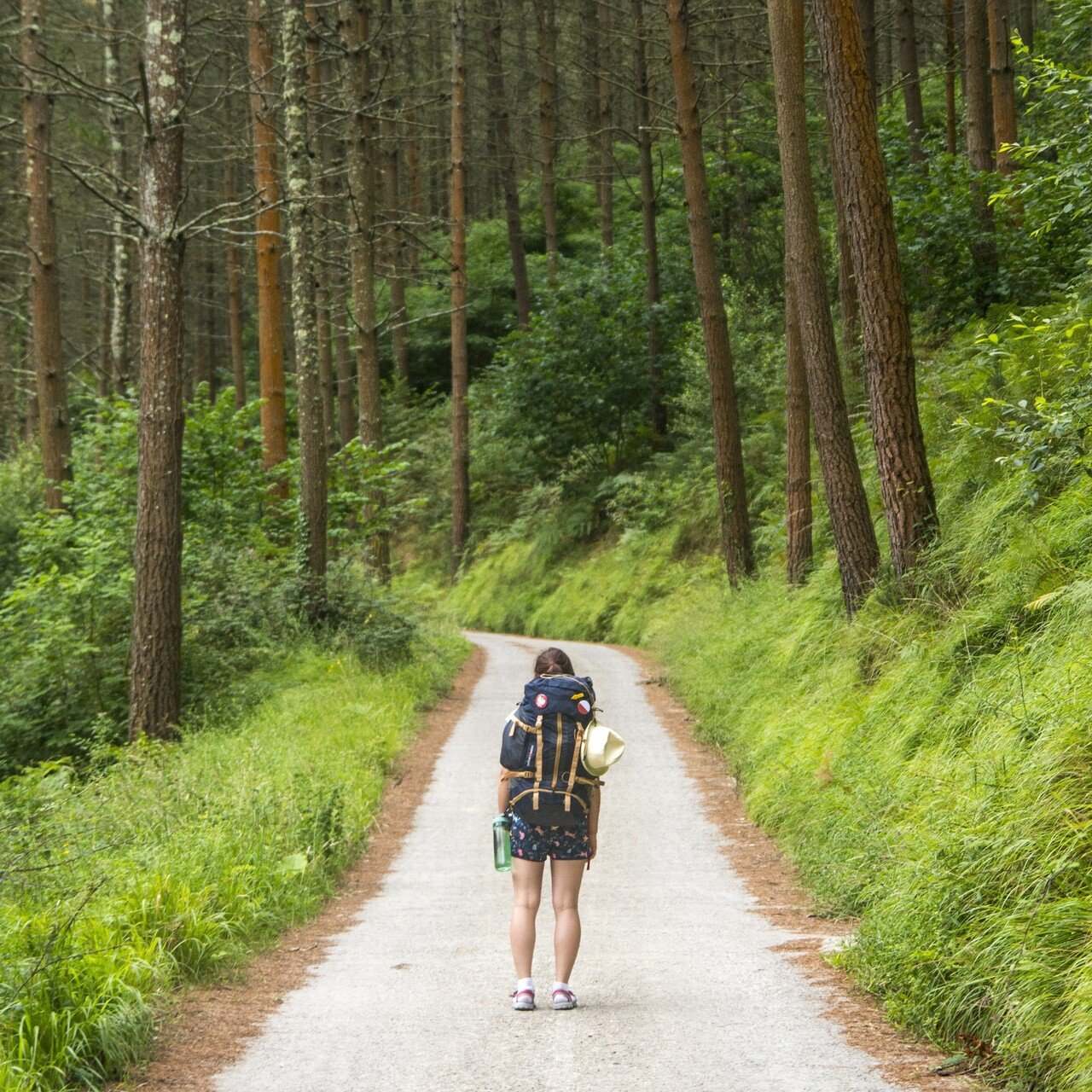 The ultimate reset: Why a walking holiday should be on your list this summer